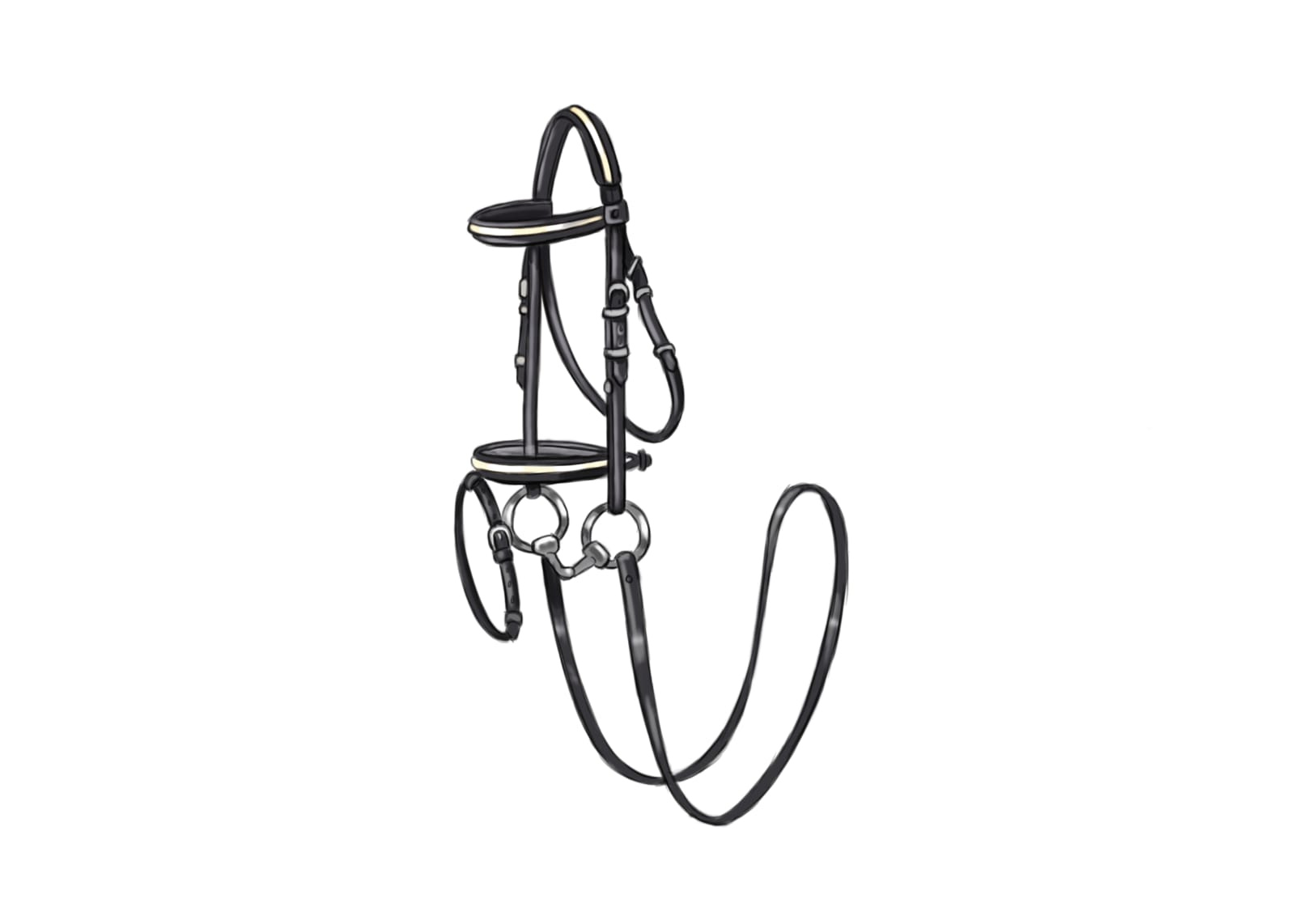 Illustration for the project Knots, Ropes and Forces