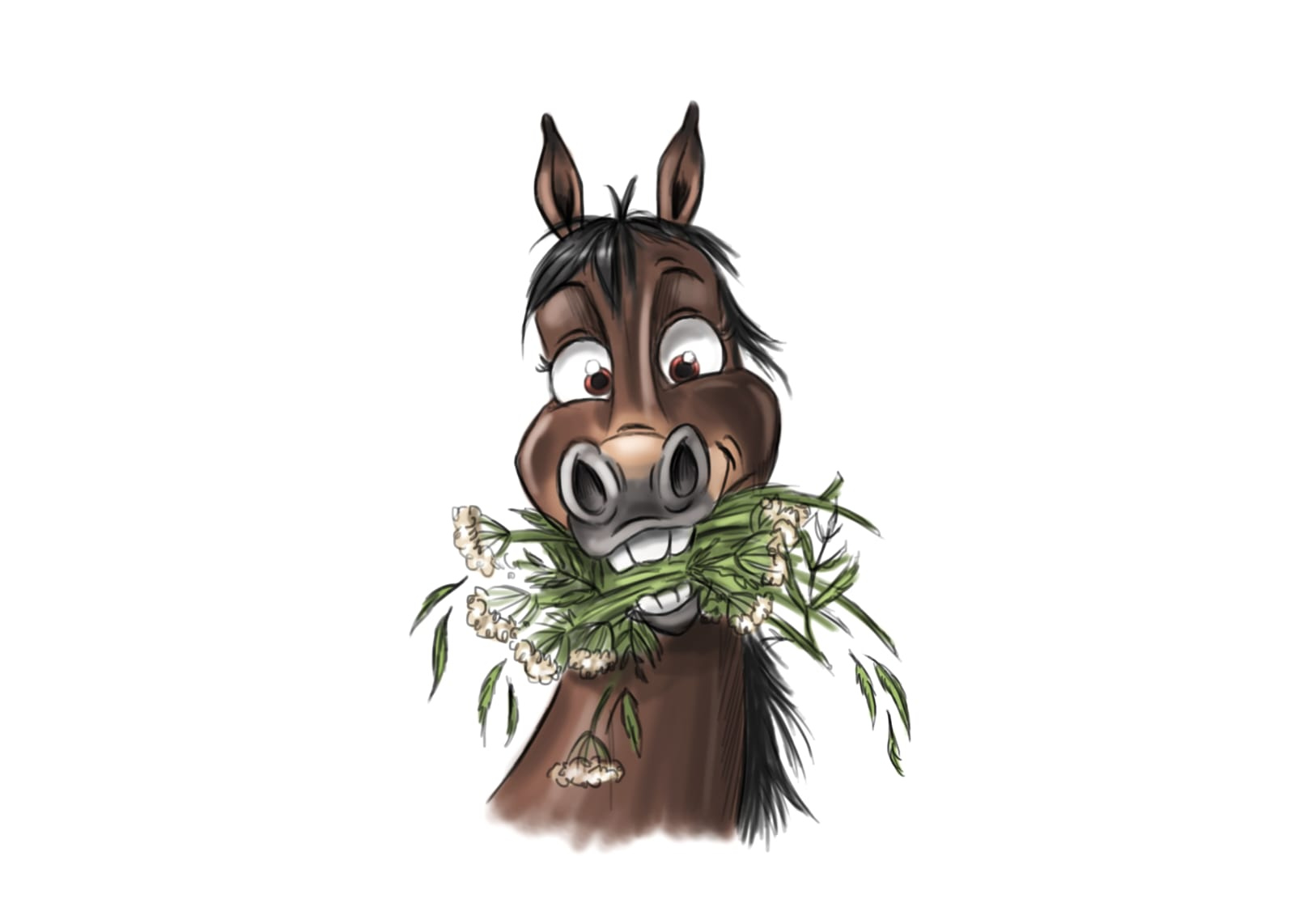 Illustration for the project The Horse's Digestive Journey