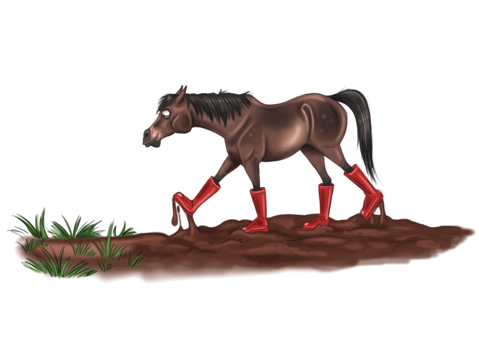 Illustration for the project Design a Track System